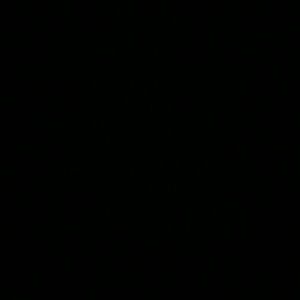 Meet your Posher, Tonya